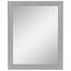 Glacier Bay 30 in. W x 36 in. L Beveled Edge Bath Mirror 81176 - The ...