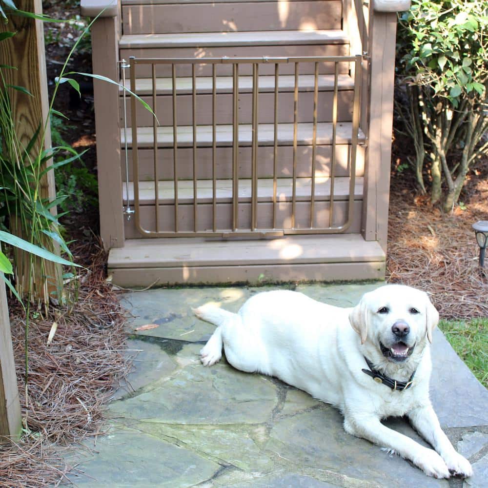 Adjustable Black Aluminum Stairway Safety Gate with Stainless Steel Hardware