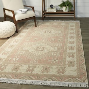 Isabella Pink 5 ft. x 7 ft. Oriental Persian Area Rug