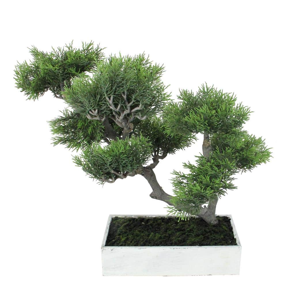 Green Plastic Japanese Bonsai Tree in White Planter Box