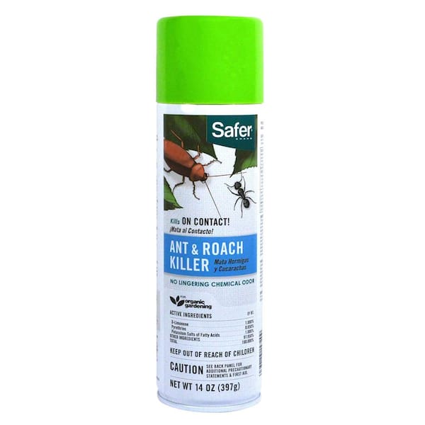 Safer Brand Safer Brand 14 oz. Ant & Roach Aerosol Killer