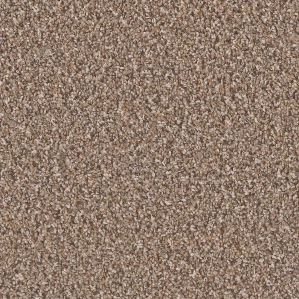 8 in. x  8 in. Texture Carpet Sample - Dream Wish -Color Drive price history on PriceWatchPro