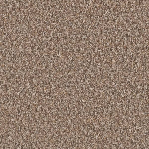 TrafficMaster 8 in. x 8 in. Texture Carpet Sample - Dream Wish -Color ...