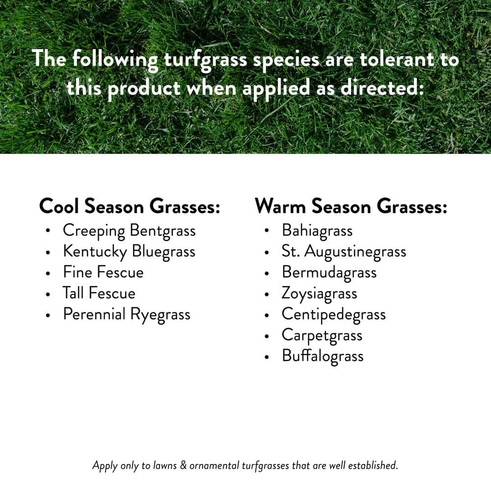 Green 13.5 lbs Crabgrass Control Plus Lawn Food