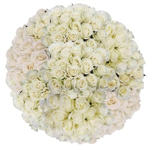 100 Assorted White Roses- Fresh Flower Delivery