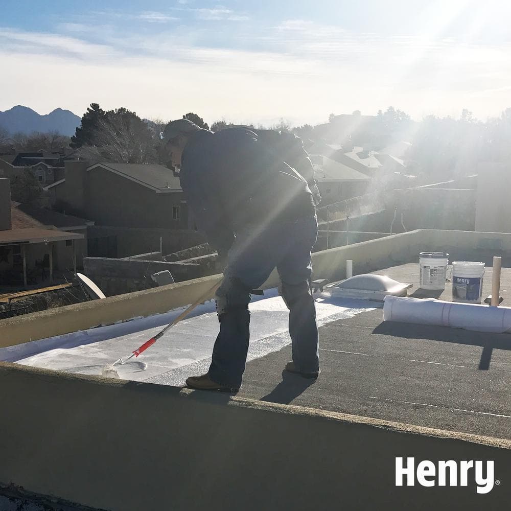https://images.thdstatic.com/productImages/3a61449c-b1fa-47ef-81c1-e1a1f4b10292/svn/henry-roof-coatings-he587871-fa_1000.jpg