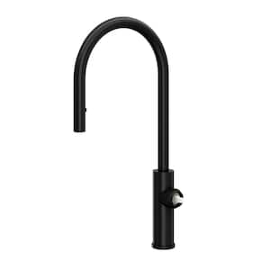 Eclissi Single Handle Pull Down Sprayer Kitchen Faucet in Matte Black