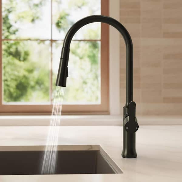 Modern 18.5 in. H 1-Handle 2-Spray Pull Down Kitchen Faucet 8.5 in. Spout Reach 360° Spout Swivel Faucet in Matte Black
