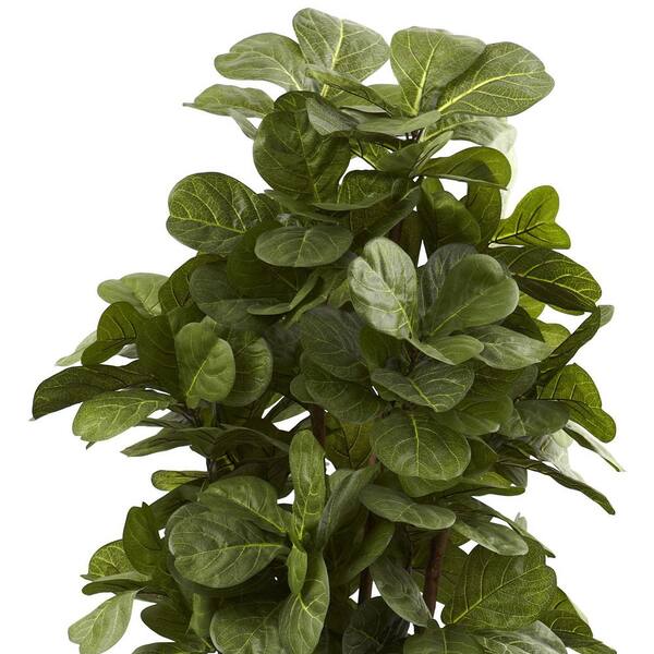 lavender topiary plant Lavender Topiary For Sale