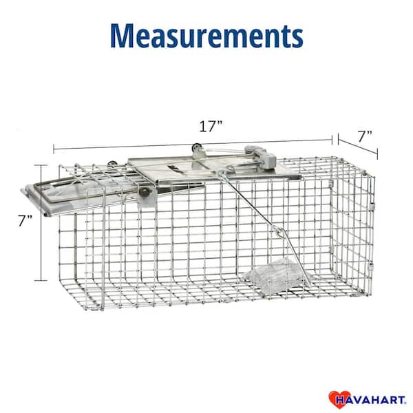 How to Set: Havahart® Large 1-Door Trap Model #1079 for Raccoons, Cats,  Groundhogs and Opossums 