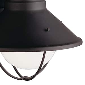 Seaside 1-Light Black Wall Sconce Outdoor Hardwired Barn Sconce with No Bulbs Included (1-Pack)