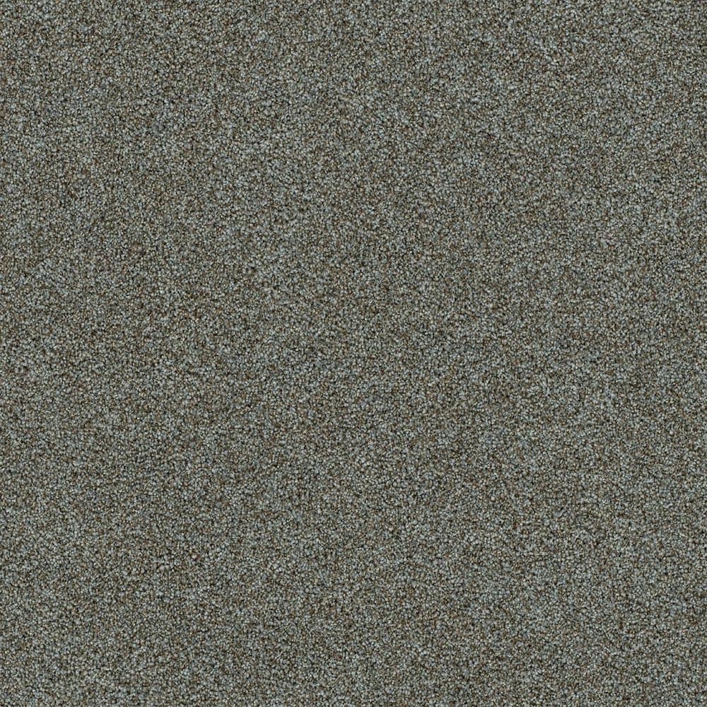 8 in. x 8 in. Texture Carpet Sample-Dewdrop I-Color Restful price history on PriceWatchPro