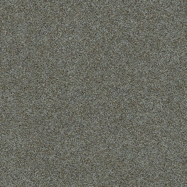 8 in. x 8 in. Texture Carpet Sample-Dewdrop I-Color Restful