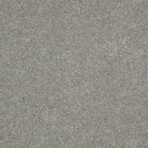 Brave Soul II - Cinder - Gray 44 oz. Polyester Texture Installed Carpet