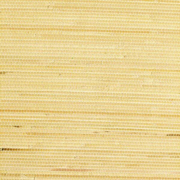 The Wallpaper Company 8 in. x 10 in. Natural Lyme Grass Wallpaper Sample-DISCONTINUED