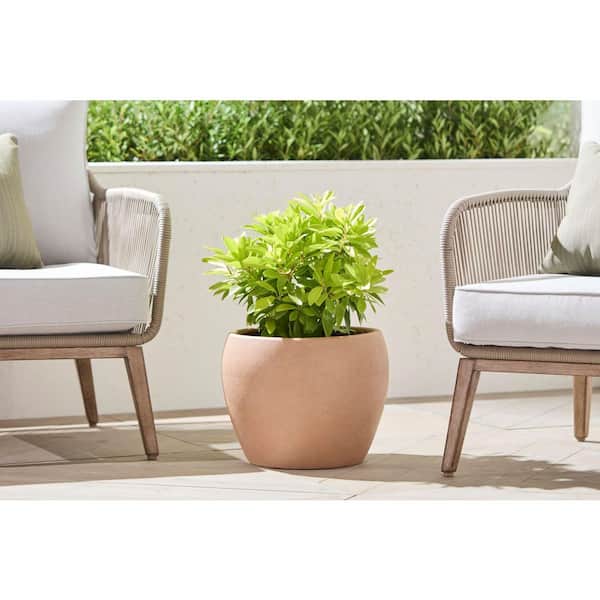 Phoebe Medium Natural Clay Terracotta Round Planter with Drainage Hole (16 in. L x 16 in. W x 12 in. H)