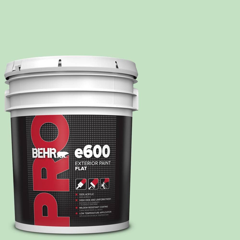5 gal. #450C-3 Green Myth Flat Exterior Paint price history on PriceWatchPro