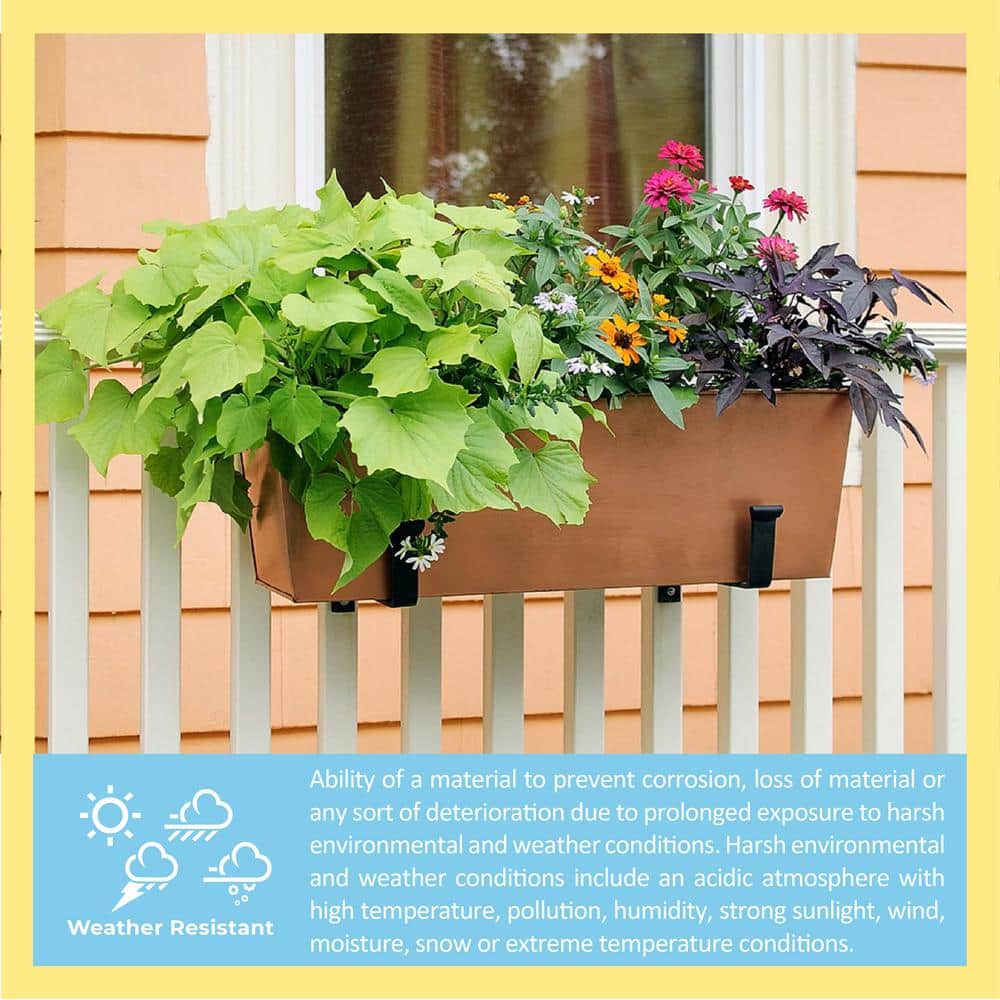 Black Wrought Iron 8-Inch Wall-Mount Flower Box Brackets