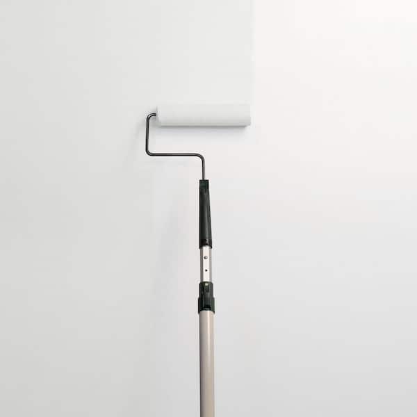 Shining Scale PPG0996-1 Paint