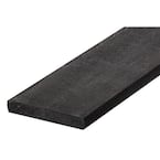 2 in. x 10 in. x 8 ft. Black Recycled Plastic Edging Lumber G-Grade (2 Per Box)