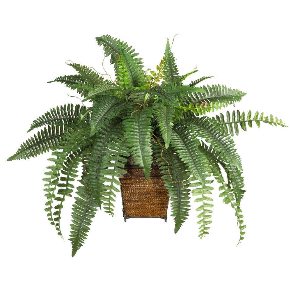 Nearly Natural 23 In Boston Fern Silk Plant With Wicker Basket 6549 The Home Depot Nearly Natural 23 In Boston Fern Silk Plant With Wicker Basket 6549 The Home Depot