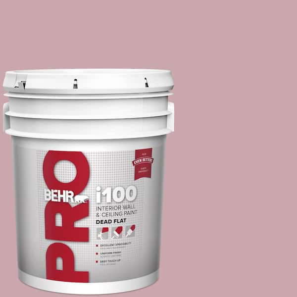 BEHR PRO 5 gal. #MQ1-04 Dutchess Dawn Dead Flat Interior Paint
