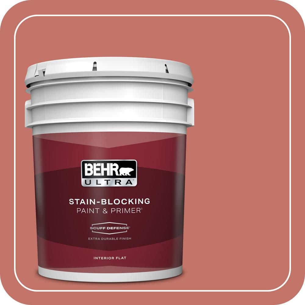 5 gal. #PPU1-05A Red Coral Extra Durable Flat Interior Paint & Primer product image for price tracking