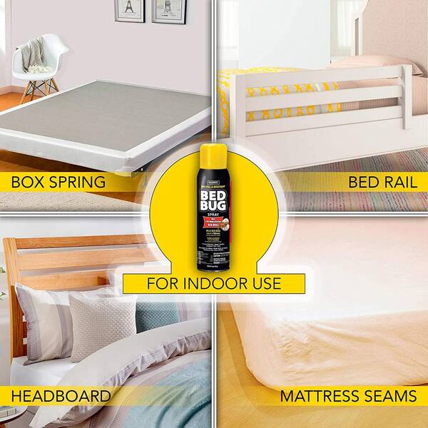 steamer for bed bugs home depot
