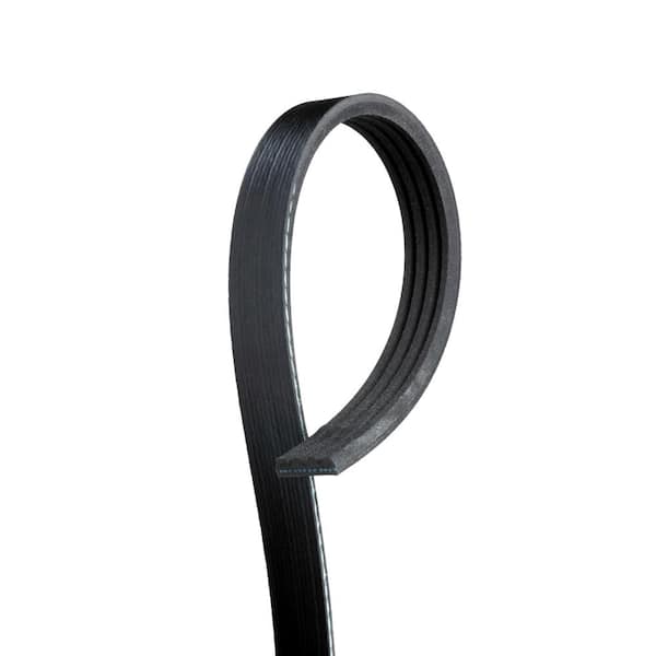 Standard Serpentine Belt - Air Conditioning