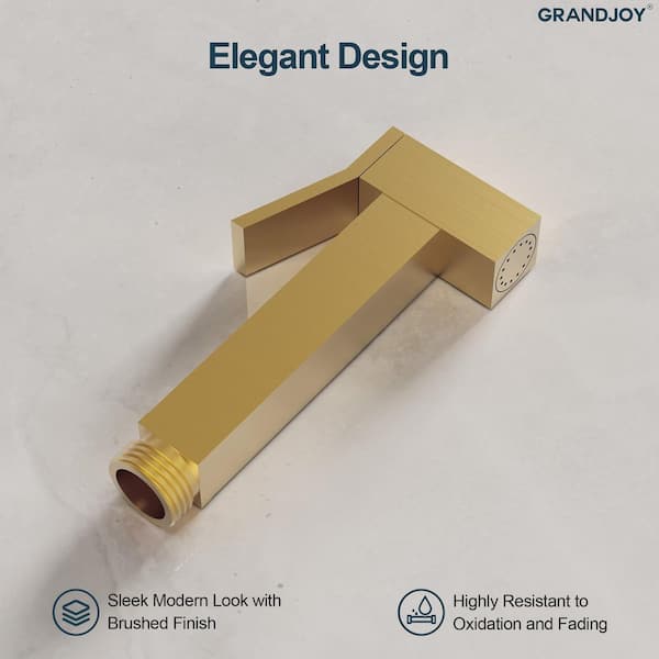 GRANDJOY Modern 1 Handle Wall Mount Brass Bidet Faucet-Adjustable