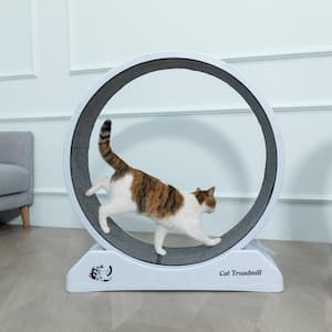 Cat Treadmill Exercise Wheel Lockable, Large