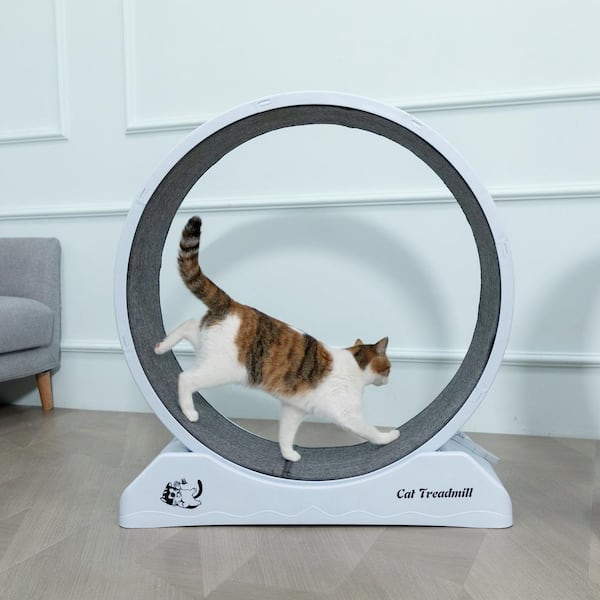Cat Treadmill Exercise Wheel Lockable, Large
