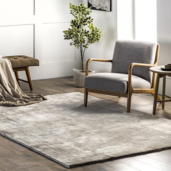 Loni Solid Machine Washable Shag Beige 4 ft. x 6 ft. Area Rug