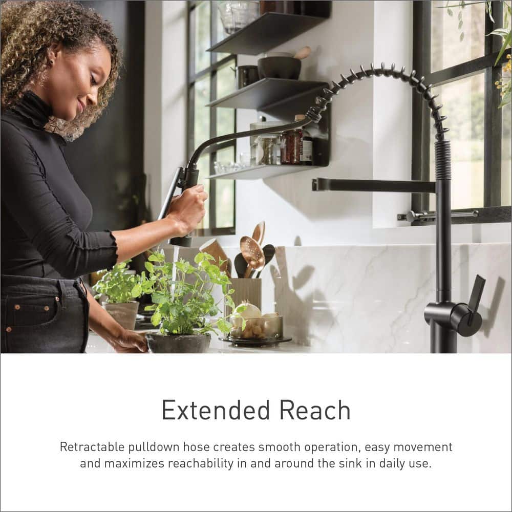 Matte Black High Arc Pull-Down Kitchen Faucet with Spray