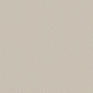 Wingate - Color Heirloom Lace - 33 oz SD Polyester Pattern Beige Installed Carpet
