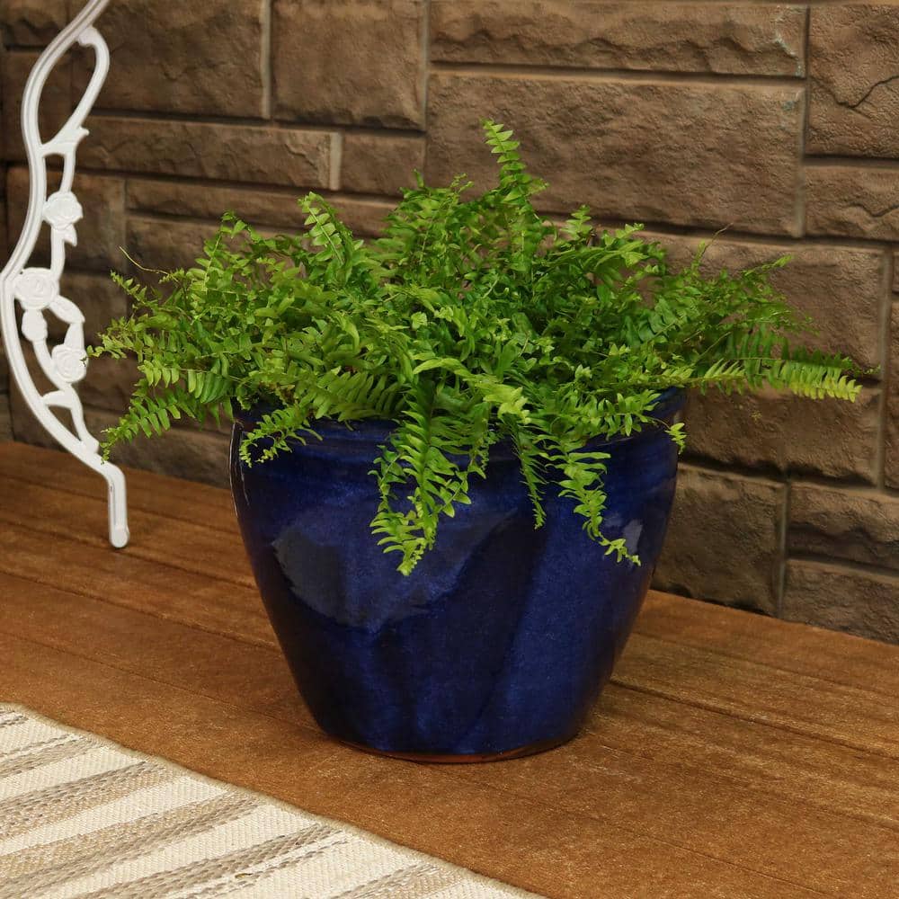 Imperial Blue Large Ceramic Indoor/Outdoor Planter with Glazed Finish