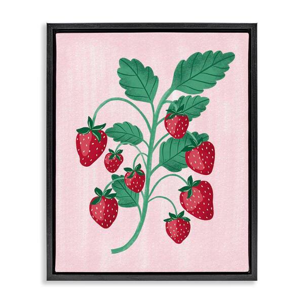 Stupell Industries Fresh Strawberries Branch by Aralma Black Floater Frame Food Graphic Art Print 21 in. x 17 in.