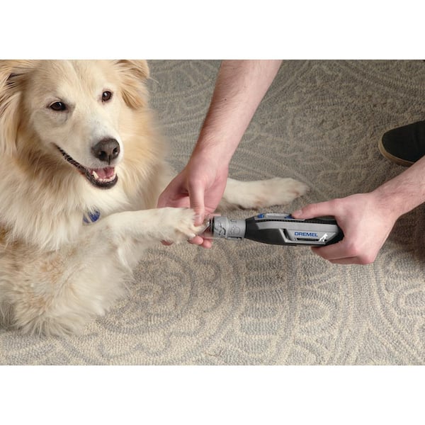Dremel PawControl Dog Nail Grinder Review and Testing With My Dogs