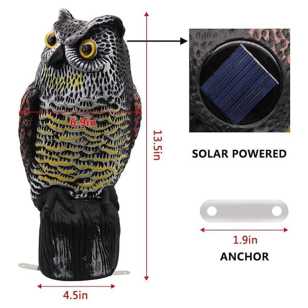 Owl Sounds to Scare Birds 