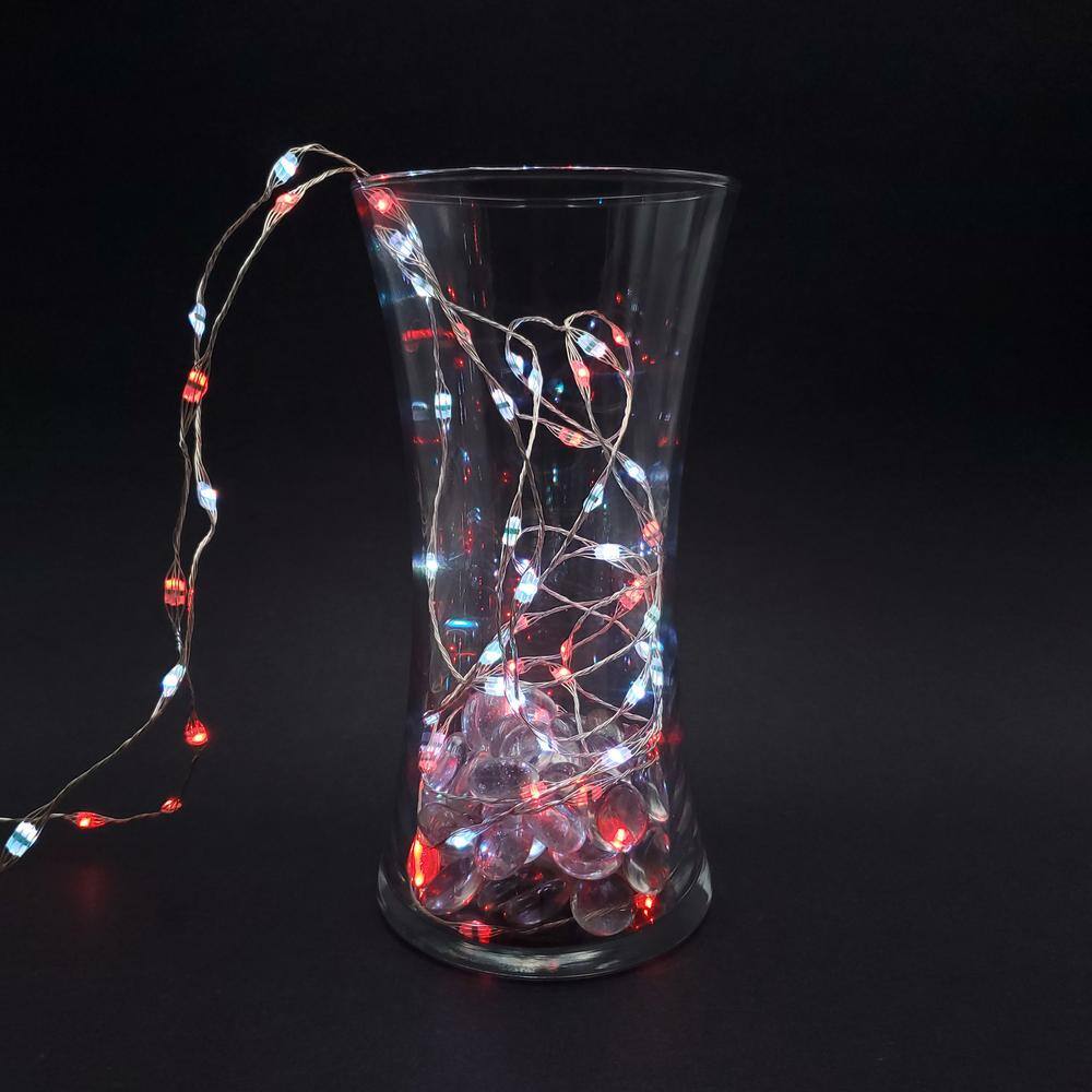 Multi-Color LED Battery Operated Fairy String Lights with Remote