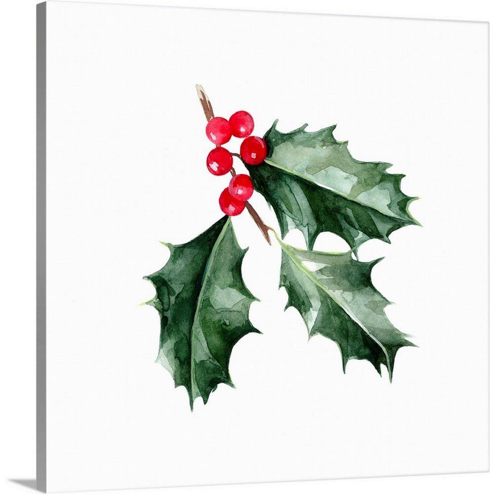 20 in. x 20 in. Christmas Holly I by Emma Scarvey Canvas Wall Art price history on PriceWatchPro
