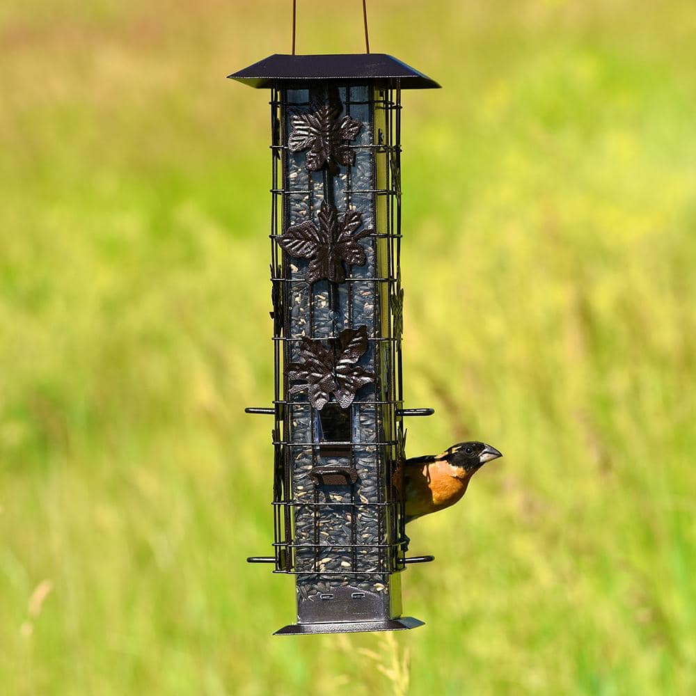 Brown Metal Hanging Squirrel Resistant Tube Bird Feeder