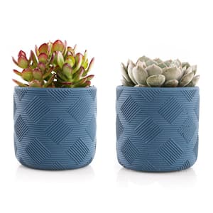 4 in. Assorted Succulent Set in Blue Weave Pot (2-Pack)