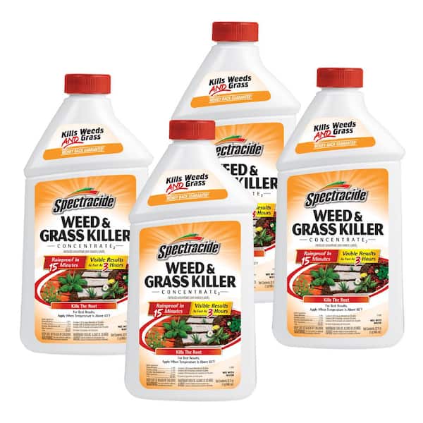 Spectracide Weed and Grass Killer 32 oz. Concentrate (4-Pack)