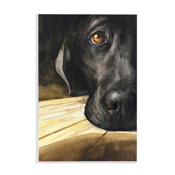 Labrador Resting Pet Dog Portrait Brown Black by George Dyachenko Unframed Graphic Art Print Animal 10 in. x 15 in.