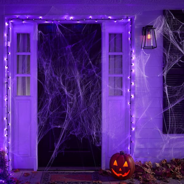 100 Purple Twinkling Mini LED Lights