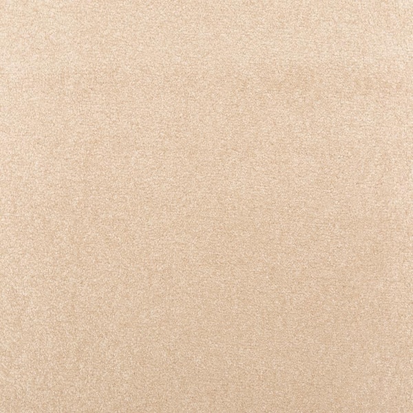 Lifeproof with Petproof Technology Waking Up I Subtle Brown 37 oz. Triexta Textured Installed Carpet