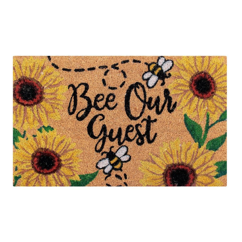 Welcome Better Trends Coir Door Mat is Strong Easy to Clean and Colorful 100 Percent Natural Coir in Vibrant Designs 18 x 30 Rectangle 