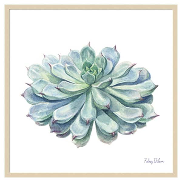 Amanti Art Single Succulents I by Kelsey Wilson 33 in. W x 33 in. H. Wood Framed Wall Art Print Framed in Brown