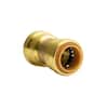 QUICKFITTING 3/4 in. Push-to-Connect Brass Polybutylene Conversion Coupling  Fitting LF821PBYR - The Home Depot